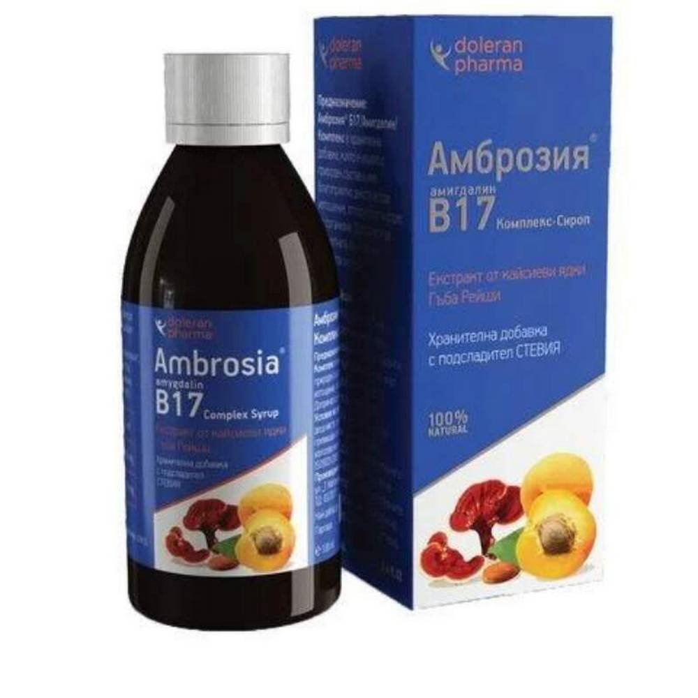 B17 Ambrosia + Reishi Sirup 100ml