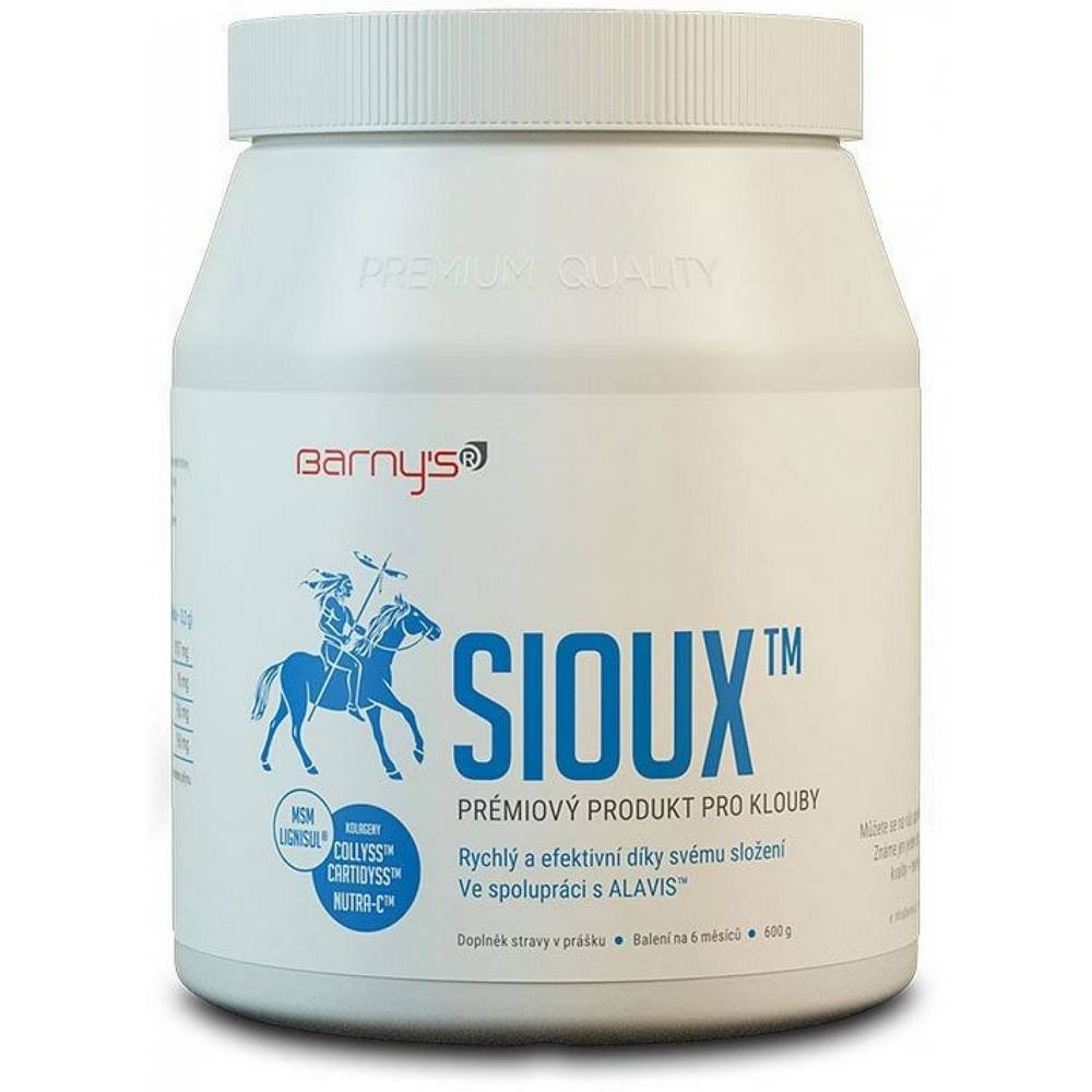 Barny’s Sioux MSM 600 g