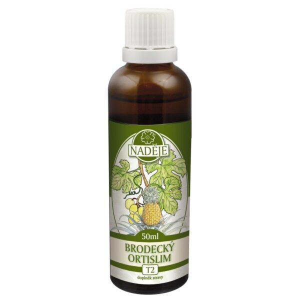 Brodecky Reducing Ortislim T2 50ml