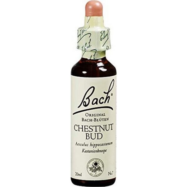 Nelsons Bachblüte Chestnut Bud 20ml