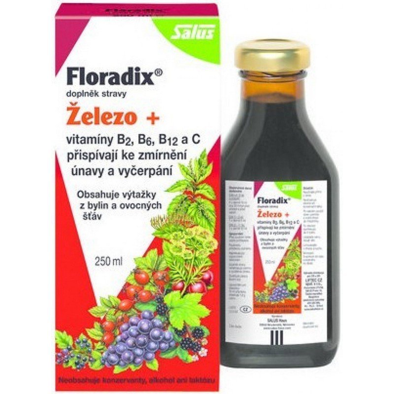 Salus Floradix Iron+ 500 ml