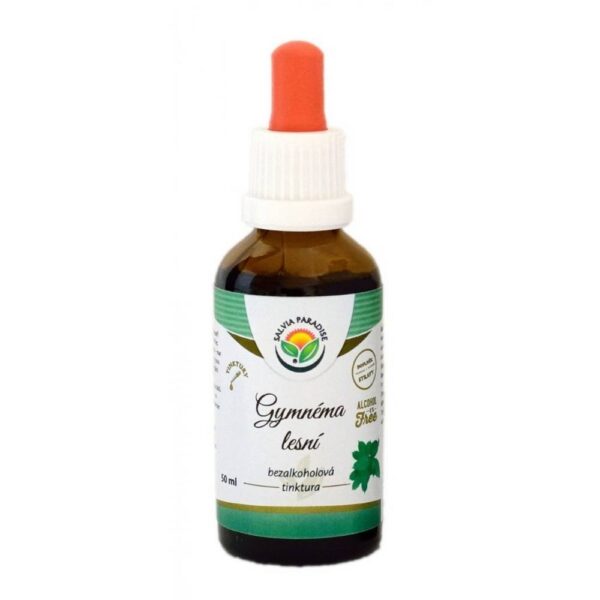 Salvia Paradise Forest Gymnema AF Tincture BIO 50 ml
