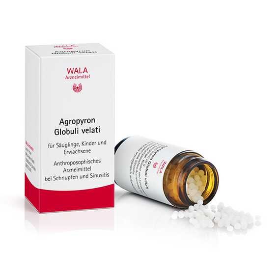 AGROPYRON Globuli velati, 20 g