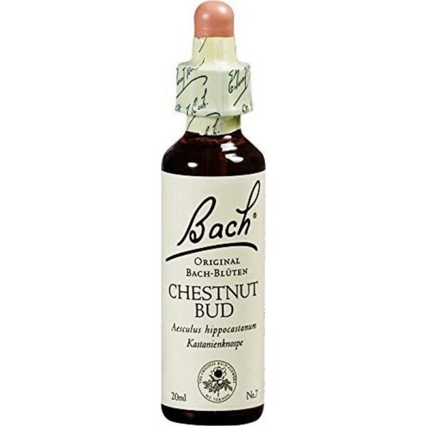 Nelsons Bachblüte Chestnut Bud 20ml